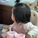 🦆 순천 현지인 맛집｜내돈내산, 우리 가족 단골 외식 맛집 '팔마가든' 오리전골 후기 💛