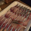 트로피컬하이드어웨이 | 언니의 호텔추천/제주호텔추천/트로피컬 하이드어웨이호텔 내돈내산 후기/제주 감성숙소/제주 서귀포...