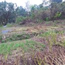 뉴한길공인중개사사무소 이미지