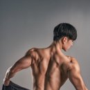 플레인바디