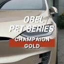 골드바디(Gold Body) | 강남랩핑 테슬라 랩핑 OBEL CHAMPAIGN GOLD 샴페인 골드 전체랩핑 후기