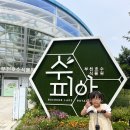 서우의 주말이야기 이미지