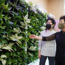 사계절가든 이미지