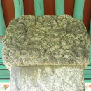 광주이씨광릉부원군파묘역 이미지