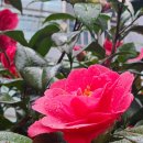 은혜자원 | [공지] [해운대해수욕장], 해파랑길,Take a walk, 해운대구,부산