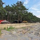 구시포노을캠핑장 이미지