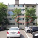 분당-313 이미지