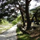 산수화민박 이미지