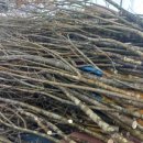 장전농장 이미지