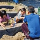 점곡초등학교 이미지