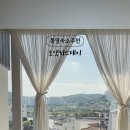 오얏리스테이 이미지