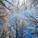 버들농원 이미지