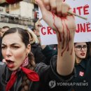 Y international 이미지