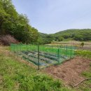 김명수농장 이미지