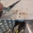 조각다방 네이버블로그