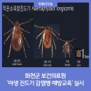 화천군보건의료원 위클리오늘