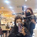 일리아헤어