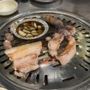 마시기통차 네이버블로그