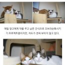 가인쉼터 이미지