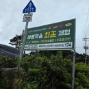 치즈체험장 | 가볼 만한 곳, 오감만족 '바람마을 농촌체험장' 수제 치즈 만들기 대만족 후기, 아이들 호기심 자극...
