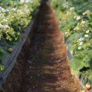 국희농장 이미지