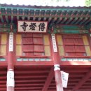 용호초교 이미지