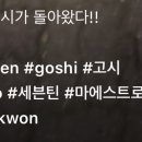 마에스트로박 이미지