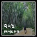 담양프로방스펜션A | 전라남도 담양 죽녹원 산책과 메타프로방스 구경, 여름 여행 후기