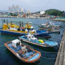 일광대복집 이미지