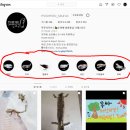 무무사우르스