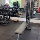 차선생바디팩토리 시즌2 네이버블로그