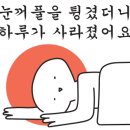 카라반2696 이미지