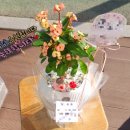 자은동행정복지센터 이미지