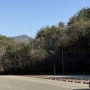 영동카인테리어 | 카페랑 카페 후기｜주차 편하고 넓은 대형 카페