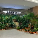 세사리빙 파주운정점 | 파주 운정 스타필드 빌리지 실내 놀거리 가볼만한 곳 추천 방문 후기