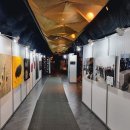 동굴에 평화의 동백이 이미지