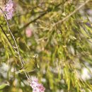 배화학교 이미지