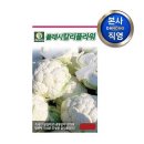 다농플라워