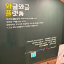 머스트클린 | 와글와글플랫폼 청년 비건 요리클래스 ‘머스트 eat 비건’ 참여 후기