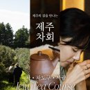 차향으로 만나는 다도 | [취다선 제주 차회 후기] | 10월 제주, 차 한 잔에 담긴 제주의 결을 만나다