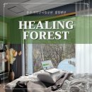 성남로 | 원주 펜션 힐링 포레스트 : 워케이션 숙박 후기, 치악산 눈꽃뷰 예약, 한달살기 숙소 추천