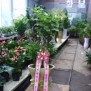 상신상사 이미지