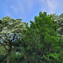 선린내과의원 이미지