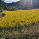 호골농장 이미지