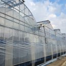 김형남농장 이미지