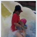 그린스파랜드 이미지