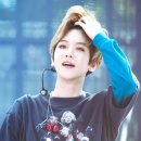 리니 Daum카페