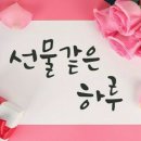 아리점핑체온다이어트