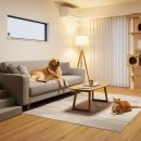 행복한 멍냥이 이미지