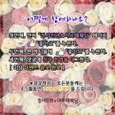 정사진관아르떼웨딩